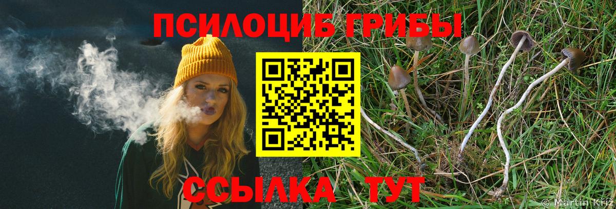 Галлюциногенные грибы мицелий Богданович